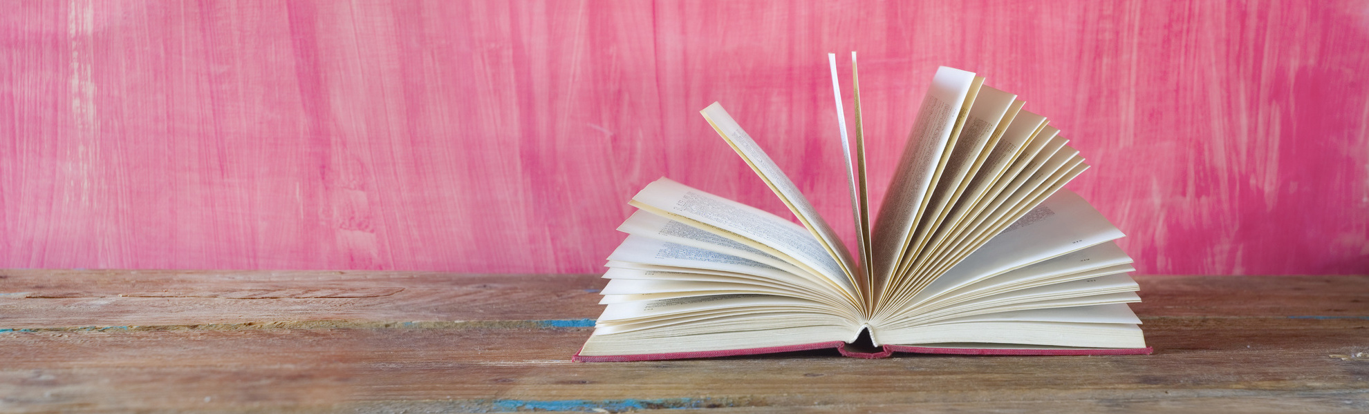 Sommer-Buch-Holzbank