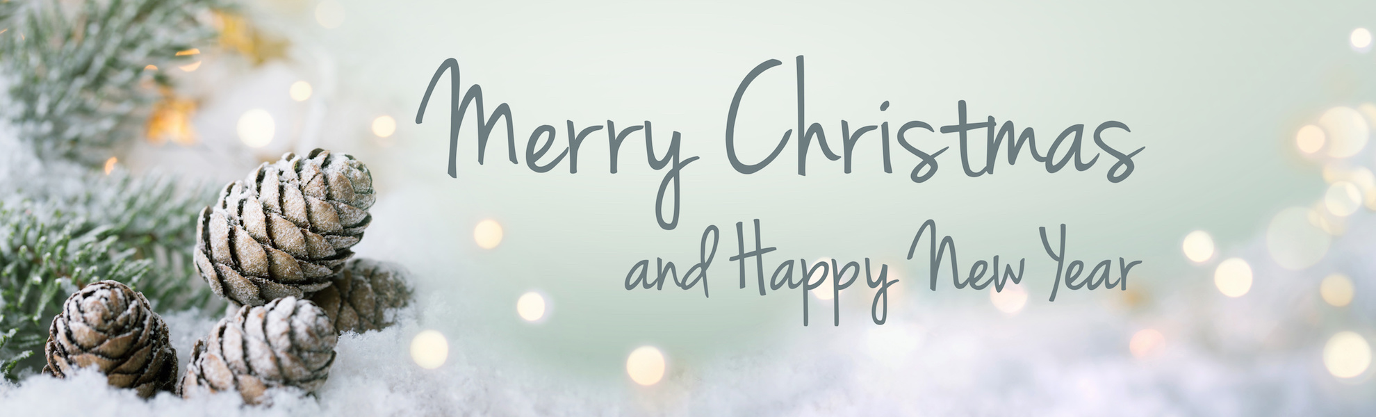 Merry Christmas and Happy New Year